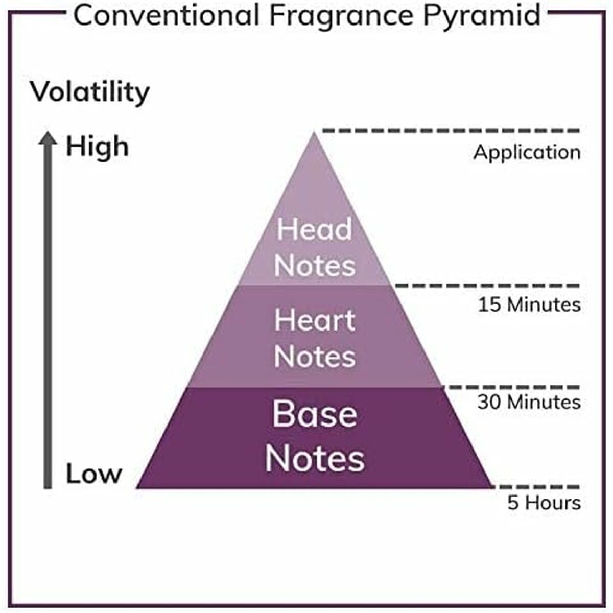 V2H4D262CC6C6428BEE5666832FB05F2898R7649385P8